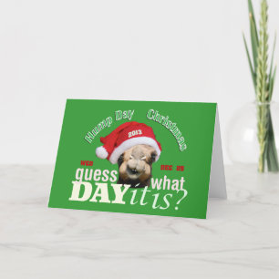 Christmas Camel Holiday Card