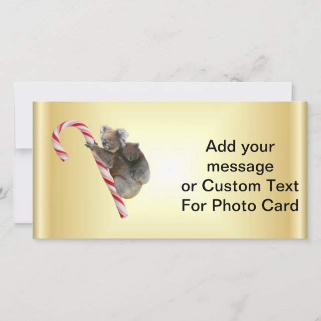 Christmas Candy Cane Koalas Holiday Card (Front)