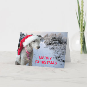 Christmas card