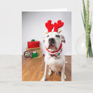 Christmas card