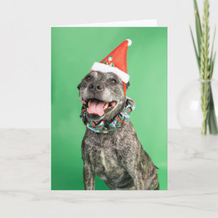 Christmas card