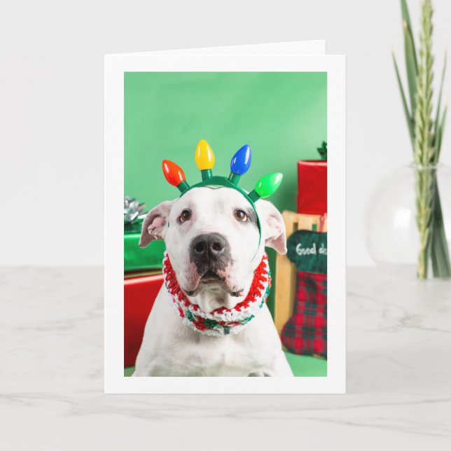 Christmas card (Front)