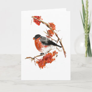 Christmas Card - Bullfinch