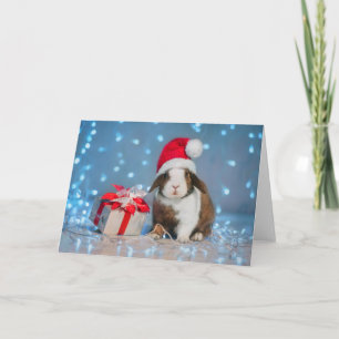 Christmas Card - Christmas Bunny