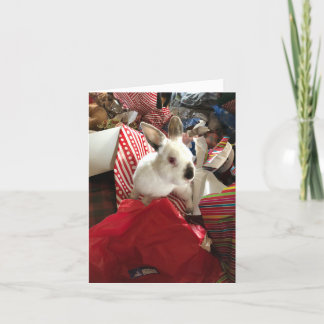 Christmas Card, Christmas Bunny Joy Hot Mess Card