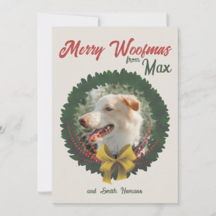 Christmas card crown Christmas pet