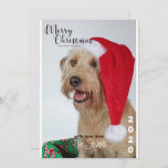 Christmas Card Dog Pet Photo Collage<br><div class="desc">Christmas Card Family Photos Collage</div>