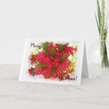 Christmas Card - Erica Flowers