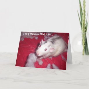Christmas Card FOR your pet rats!