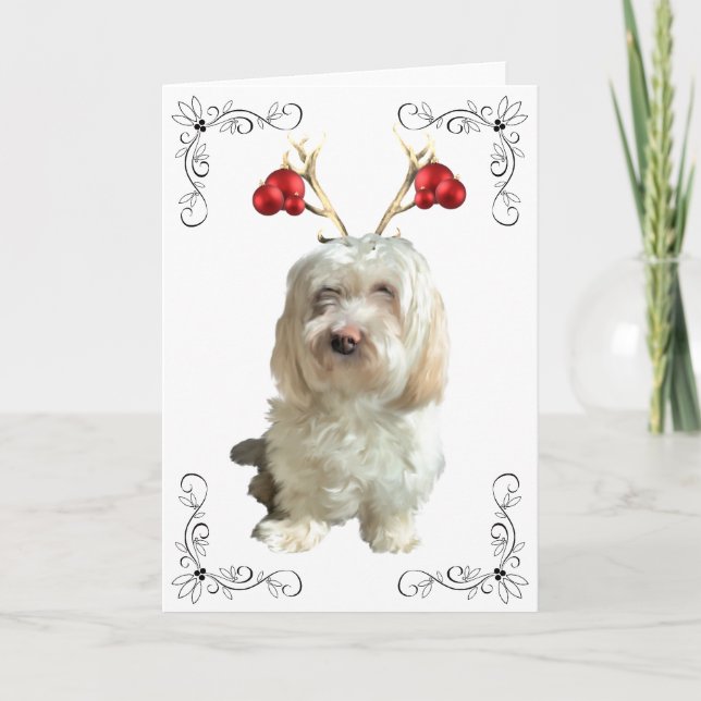 Christmas Card Havanese Reindeer (Front)