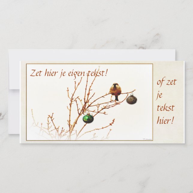 Christmas Card / Photo Card - Customize your text  (Front)