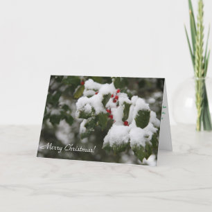 Christmas Card, Photography of Holly with Snow Holiday Card