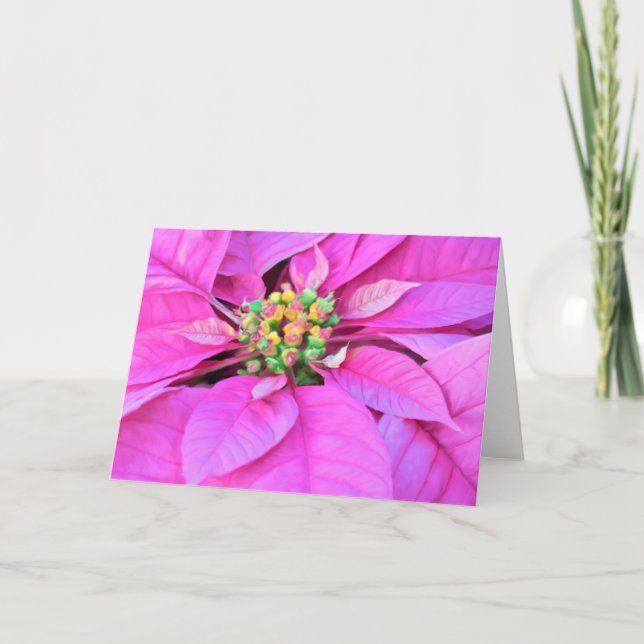 Christmas Card - Pink Poinsettia (Front)