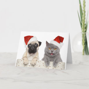 Christmas Card - Pug & Friend