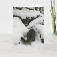 Christmas card - Scottish wildcat 7