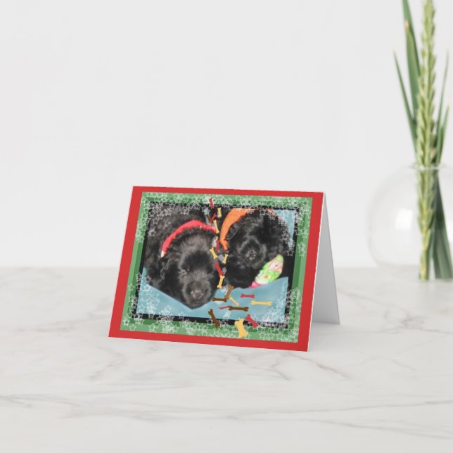 Christmas Card~Sleeping Newf pups Holiday Card (Front)