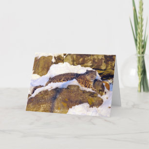 Christmas card Snow leopard