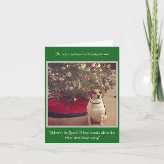 Christmas Card, Standard white envelopes included Holiday Card