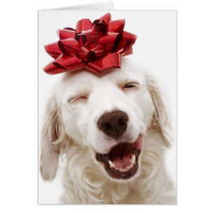 CHRISTMAS CARD WHITE RETRIEVER WITH RED BOW