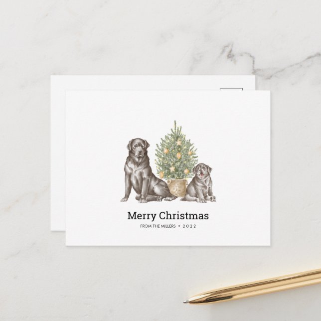 Christmas Card with Black Labrador Dog Family  (Front/Back In Situ)