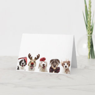 CHRISTMAS CARD WITH DOGS CELEBRATING CHRISTMAS