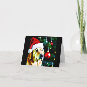 Christmas card with golden retriever in Santa hat