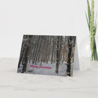 Christmas card with Merry Christmas