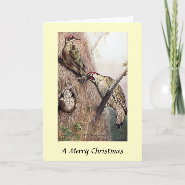 Christmas Card - Woodpeckers (Front)