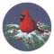CHRISTMAS: CARDINAL: BIRD: ART