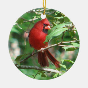 Christmas Cardinal Ceramic Ornament