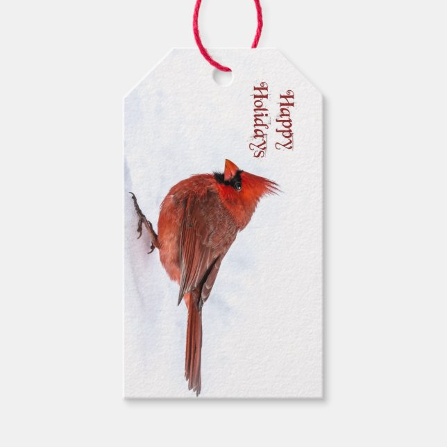 Christmas Cardinal Gift Tag (Front)