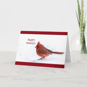 Christmas Cardinal Greeting Card