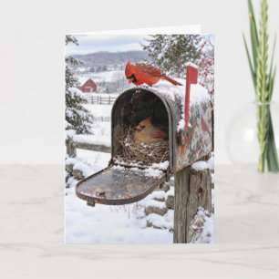 Christmas Cardinal Nest in a Snowy Mailbox Card