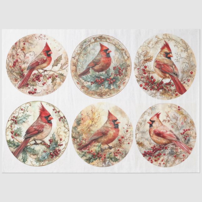 Christmas Cardinal Rounds Tissue Paper (Front)