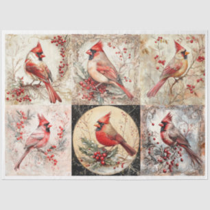 Christmas Cardinal Squares Tissue Paper