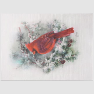 Christmas Cardinal Tissue Paper