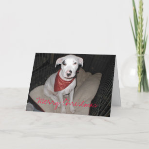 Christmas Cards
