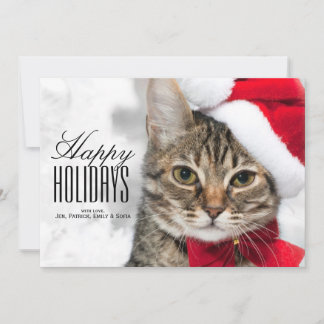 Christmas cat at red santa's hat holiday card