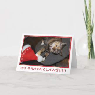 Christmas Cat Attack II Holiday Card