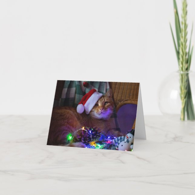 Christmas Cat Blank Greeting Card (Front)