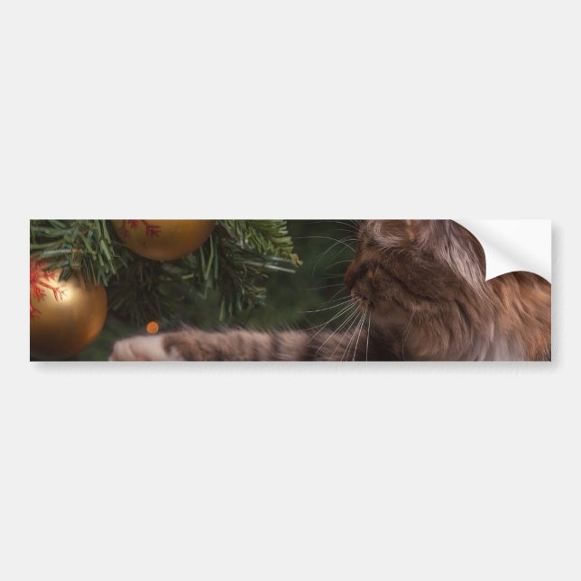 Christmas Cat Bumper Sticker (Front)