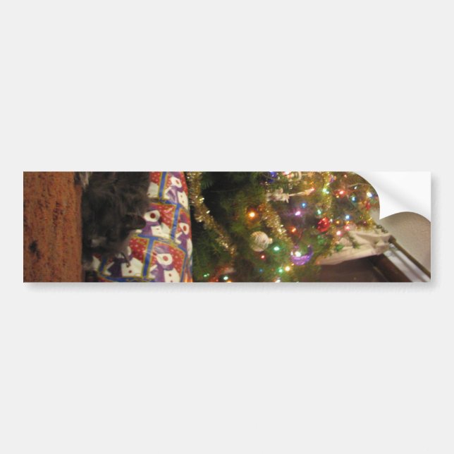 Christmas Cat Bumper Sticker (Front)