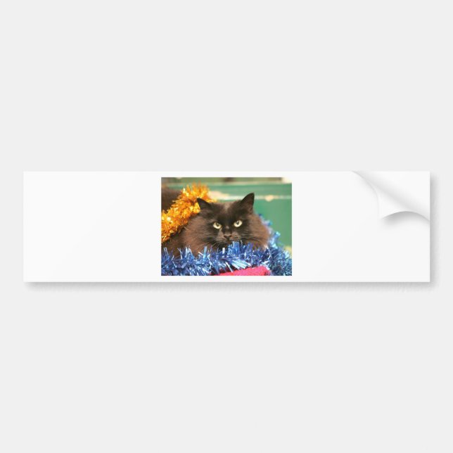 Christmas Cat Bumper Sticker (Front)