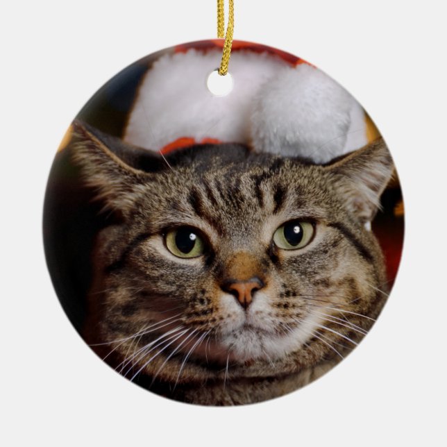 Christmas Cat Ceramic Ornament (Front)