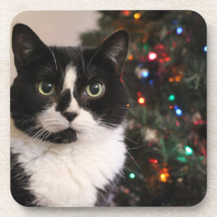 Christmas cat coaster