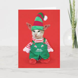 Christmas Cat Elf Holiday Card