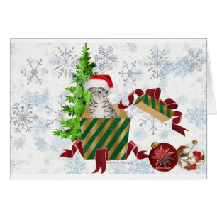 Christmas Cat Greetings 