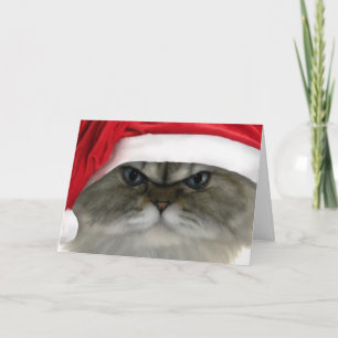 Christmas cat holiday card