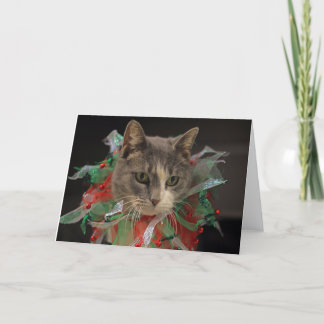 Christmas Cat Holiday Card