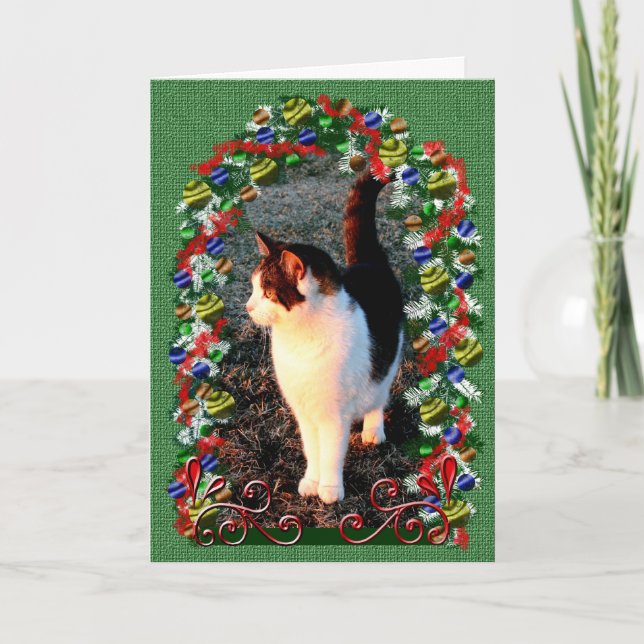 Christmas Cat Holiday Kitten Xmas Pet Message (Front)